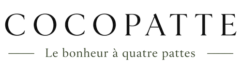 Cocopatte